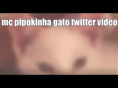 pipoquinha com gato|Vídeo de MC Pipokinha com gato; Deputado sugere。